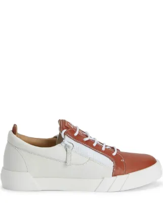 Giuseppe Zanotti