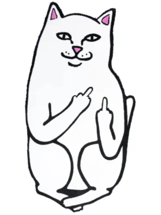 Ripndip
