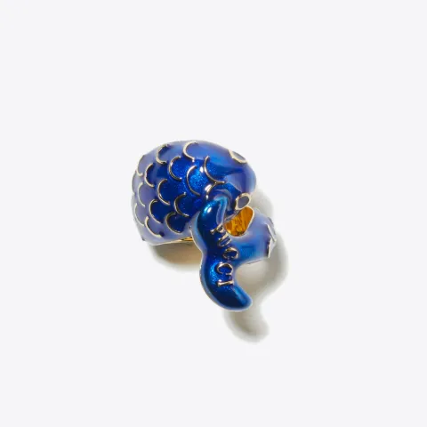 Aquarius Ring