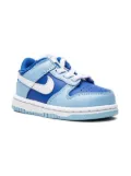 Nike Kids Dunk Low Retro QS ""Argon TD"" sneakers - Blue