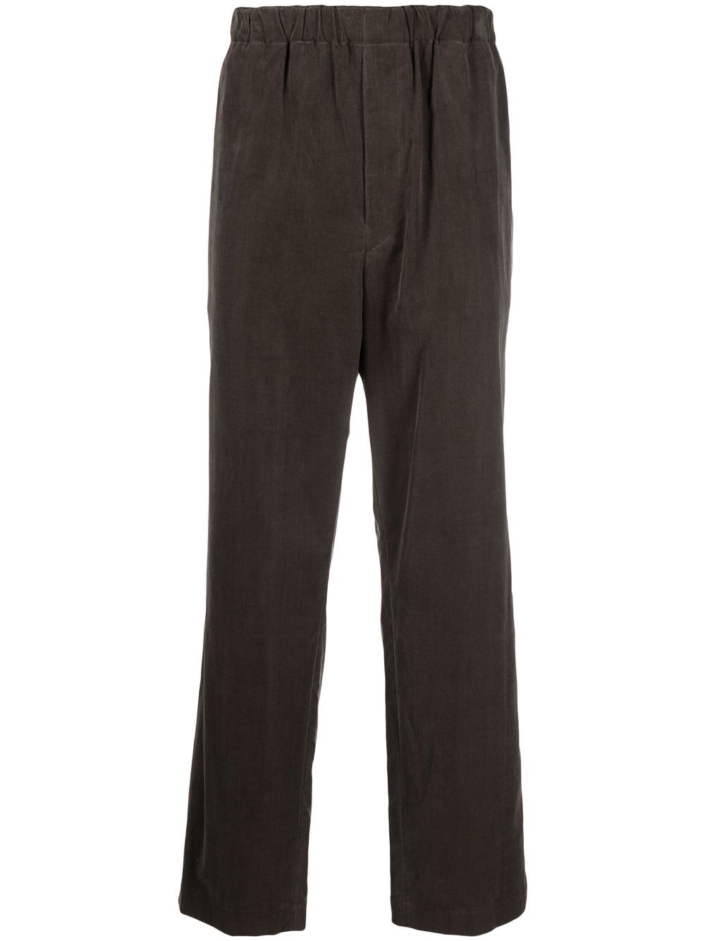 Auralee Cotton Straight-leg Trousers In Brown