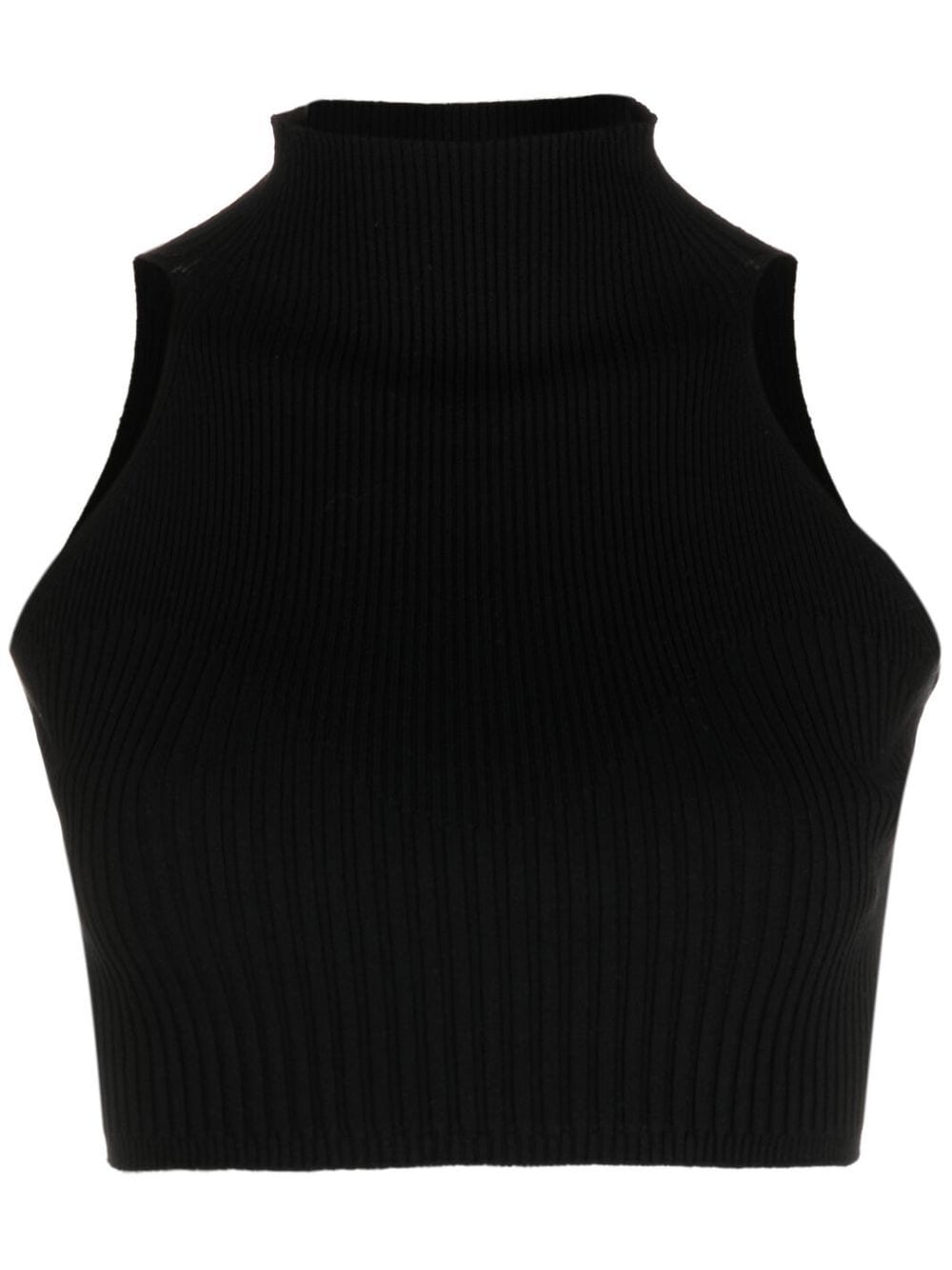 Aeron Cropped High-neck Top In Black