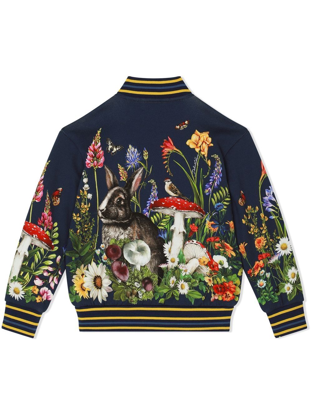 Shop Dolce & Gabbana Floral-print Bomber Jacket In Blue