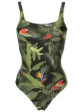 Lygia & Nanny Hapuna scoop back swimsuit - Green