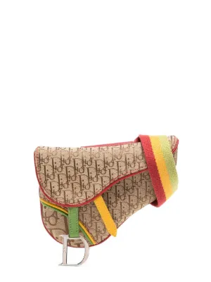 Dior 2025 rasta saddle