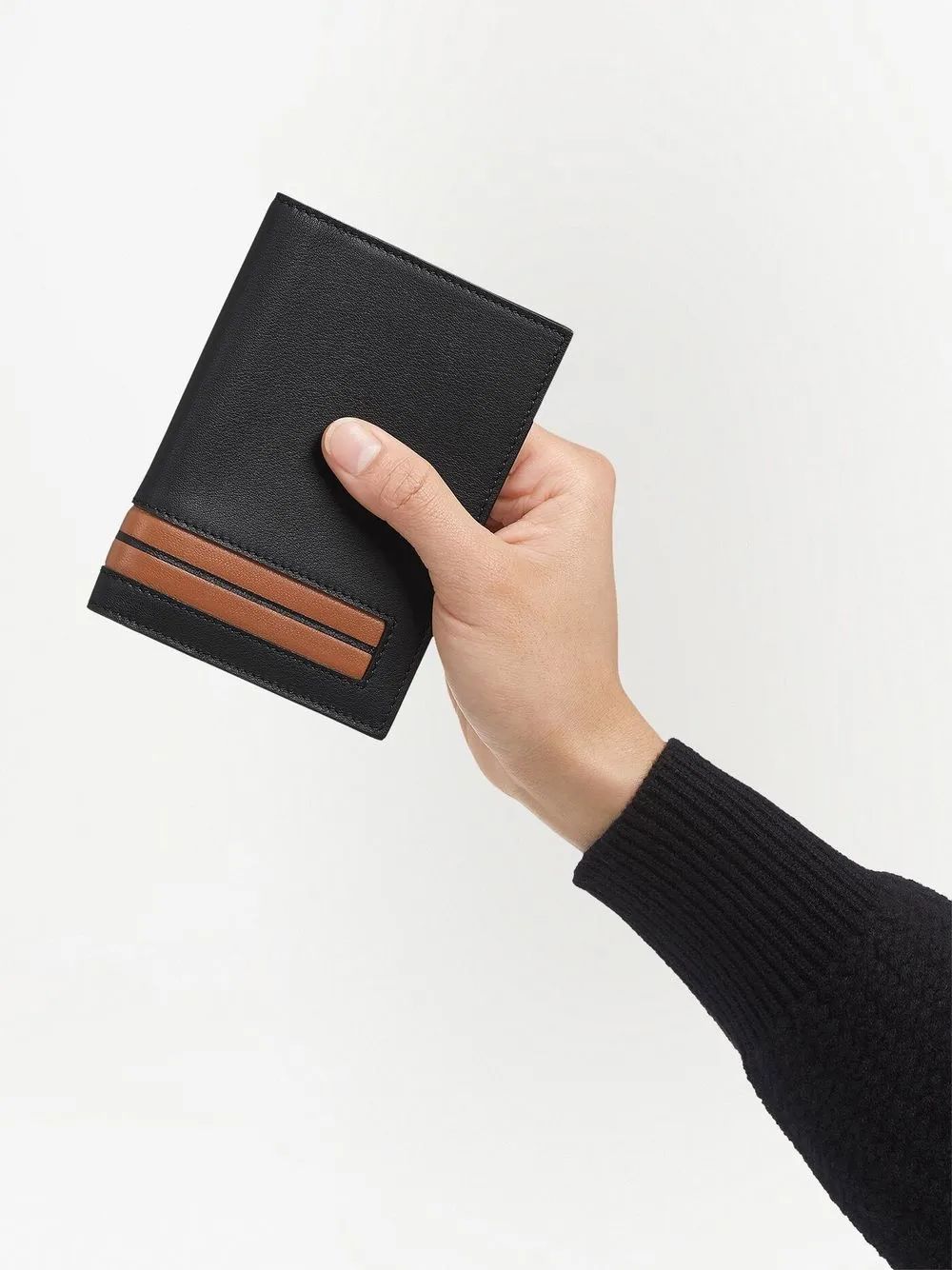 Zegna Stripe-detail Leather Passport Case In Black