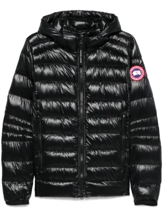 Canada Goose