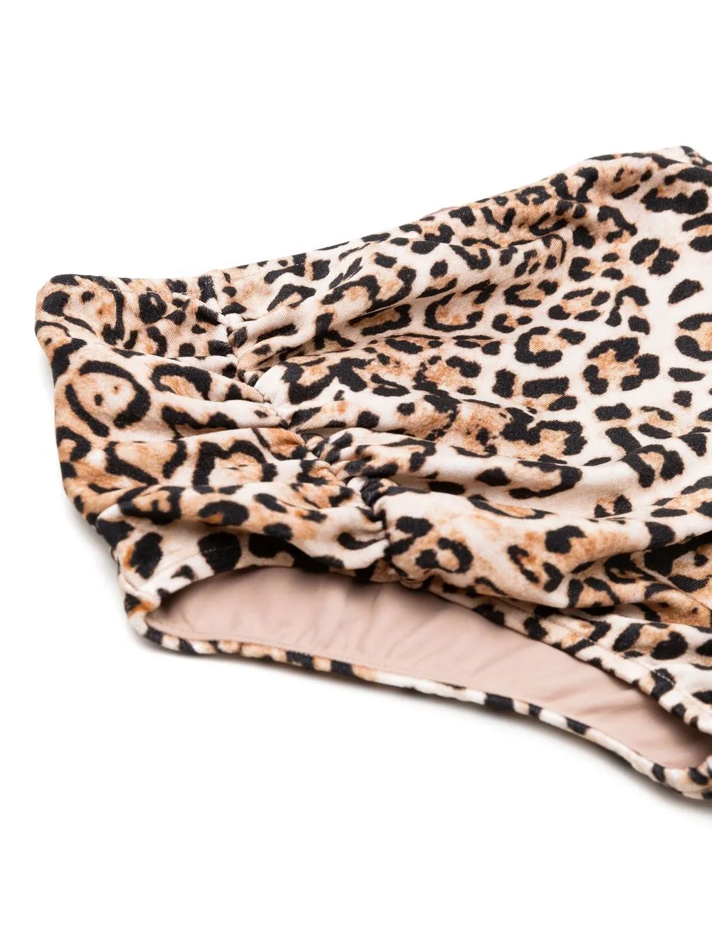 Adriana Degreas Leopard-print Bandeau Bikini Set In Brown