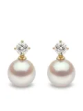 Yoko London 18kt yellow gold Classic Akoya pearl diamond earrings