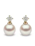 Yoko London 18kt yellow gold Classic pearl earrings