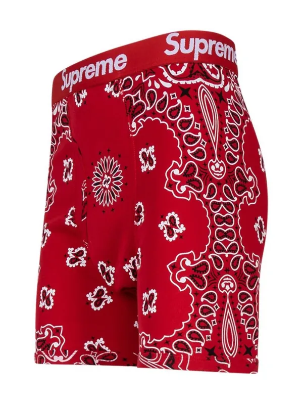 x Hanes brandana-print boxer briefs