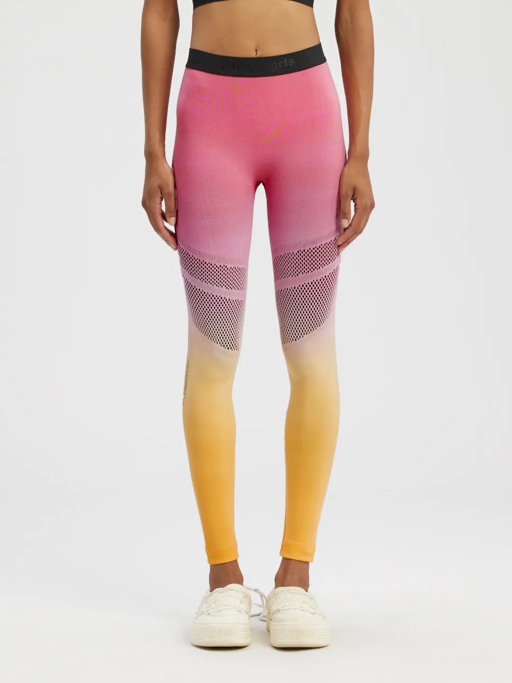 Shades Seamless Training Leggins on Sale Palm Angels® Official