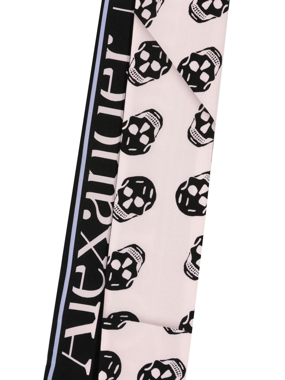 Shop Alexander Mcqueen Skull-print Silk Scarf In Black