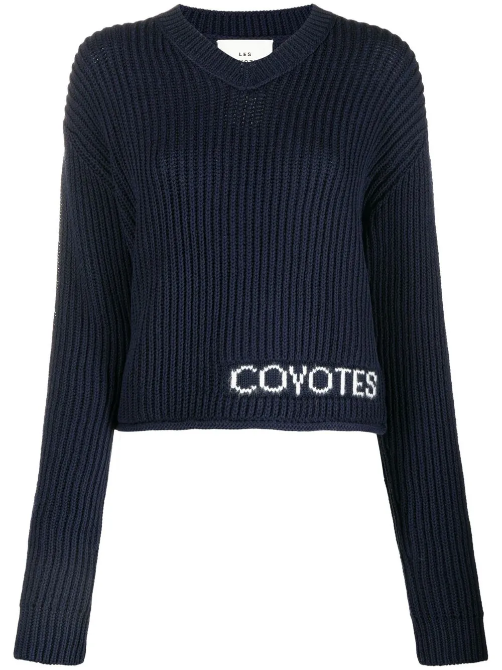 

Les Coyotes De Paris intarsia-knit logo jumper - Blue