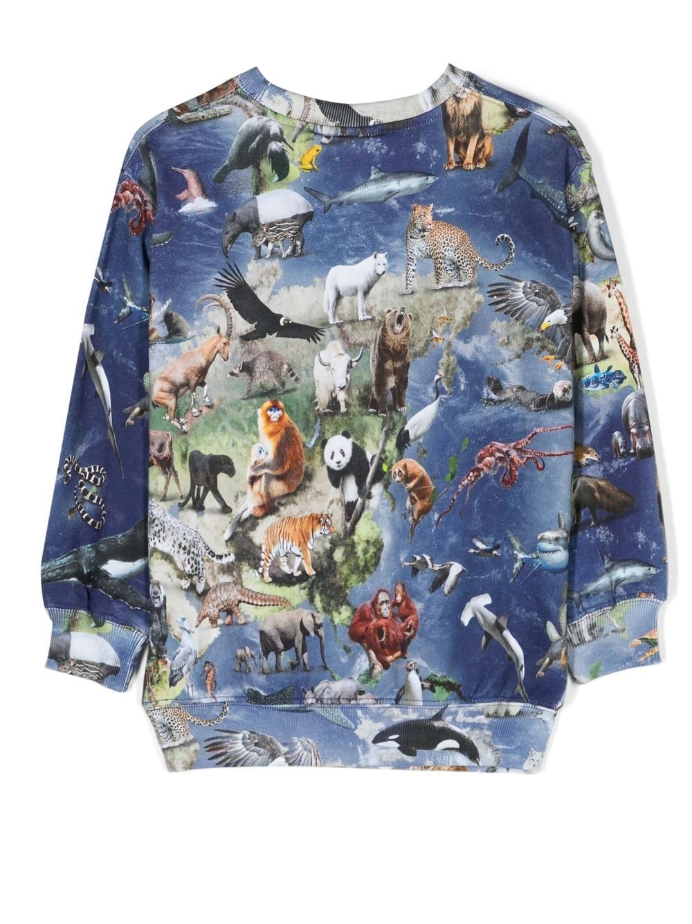 Molo Sweater met grafische print - Blauw