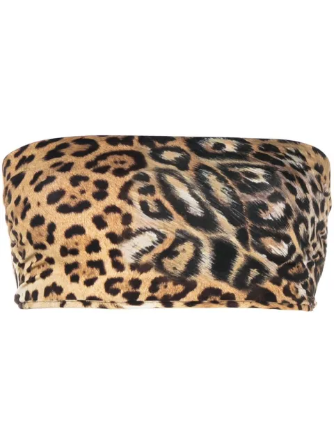 Roberto Cavalli leopard-print bandeau top