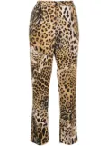 Roberto Cavalli leopard-print cropped trousers - Neutrals