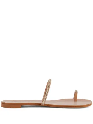 Giuseppe Zanotti