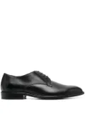 Sergio Rossi almond-toe derby shoes - Black