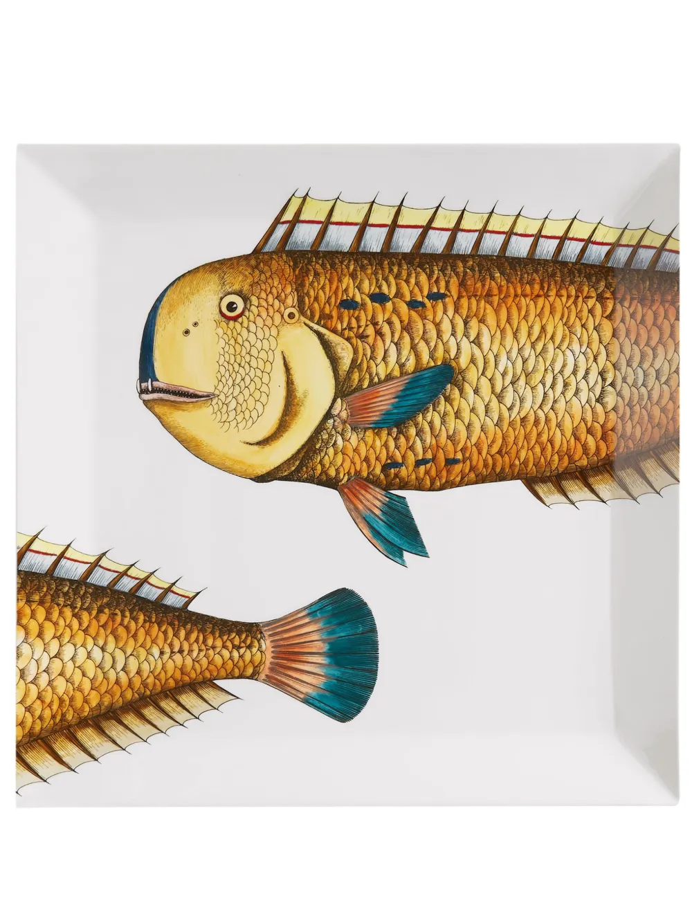 Fornasetti Pesce Lampuga square tray | White | Image 1