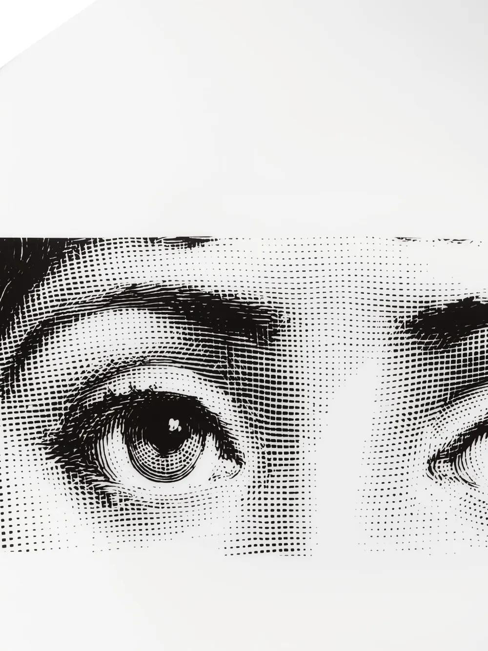Fornasetti Tema E Variazioni N.32 Plate In White