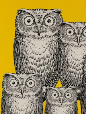 アクセサリーその他 Fornasetti Other Paparazzi 
