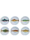 Fornasetti Piscibus porcelain paltes (set of six) - White