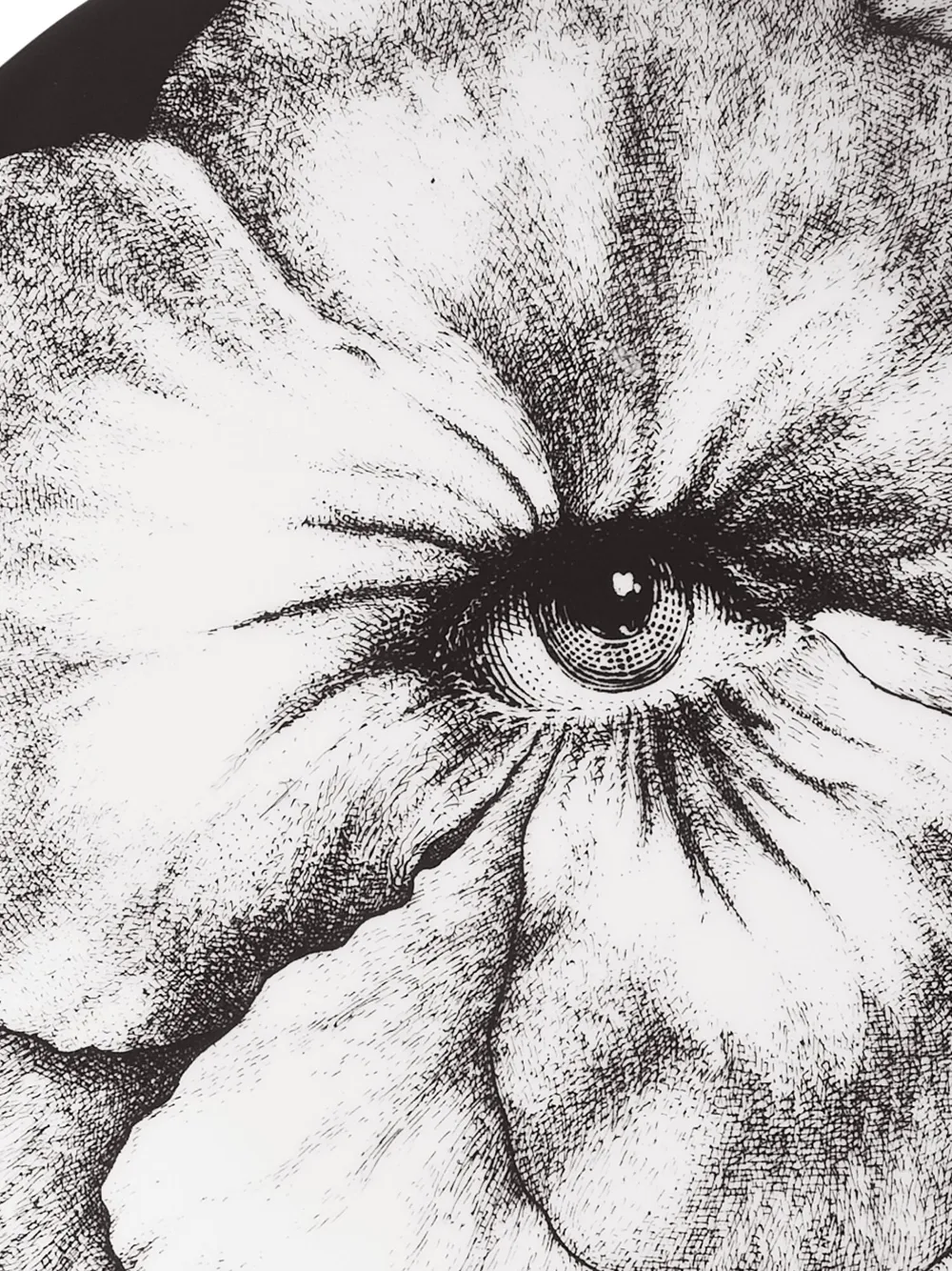 Fornasetti Tema e Variazioni n.92 ウォールプレート | ブラック