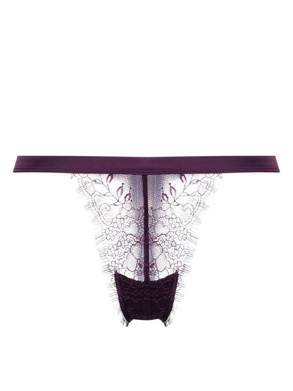 Maison Close Semi-sheer Lace Thong In Purple