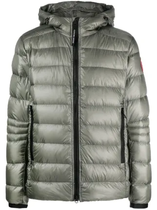 Canada Goose