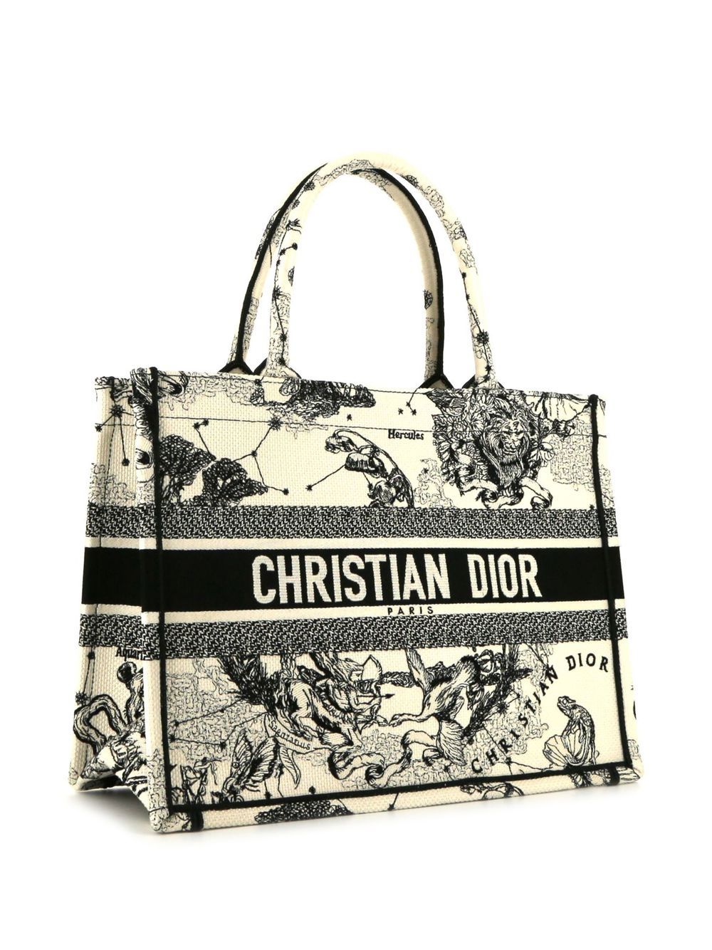 Christian Dior pre-owned Lady Dior Embellished Tote Bag - Farfetch