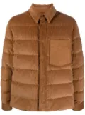 Zegna shirt style puffer jacket - Brown