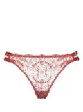 Bordelle Cymatic sheer-lace thong - Red