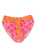 FARM Rio animal print stretch bikini bottoms - Pink