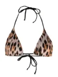 Roberto Cavalli leopard-print bikini top - Neutrals