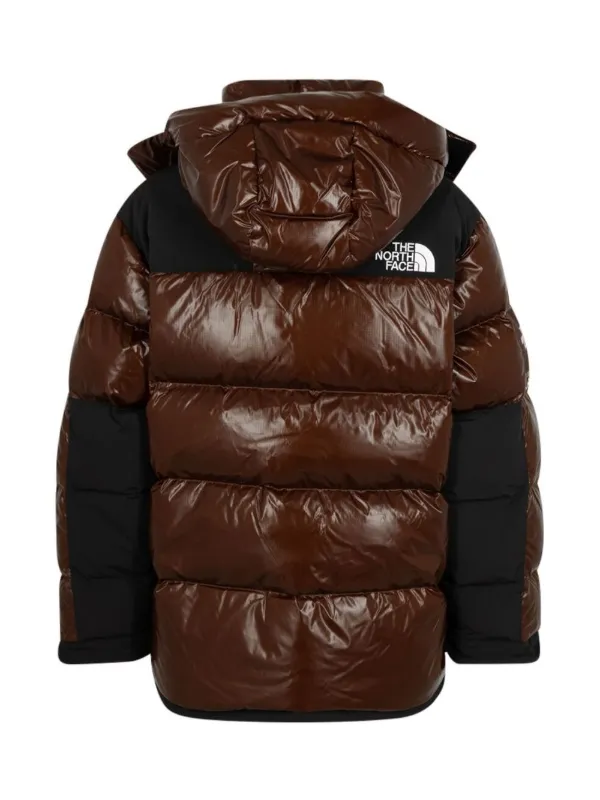 The North Face -Summit Series 700 Down