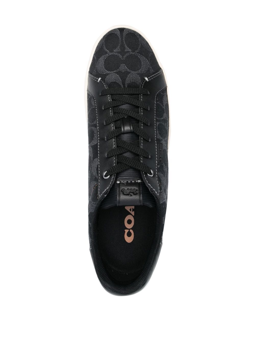 Coach best sale paddy sneakers