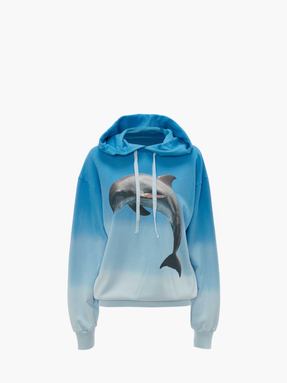 Kids Dolphin Sweater 