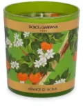 Dolce & Gabbana floral-print scented candle (250g) - Green
