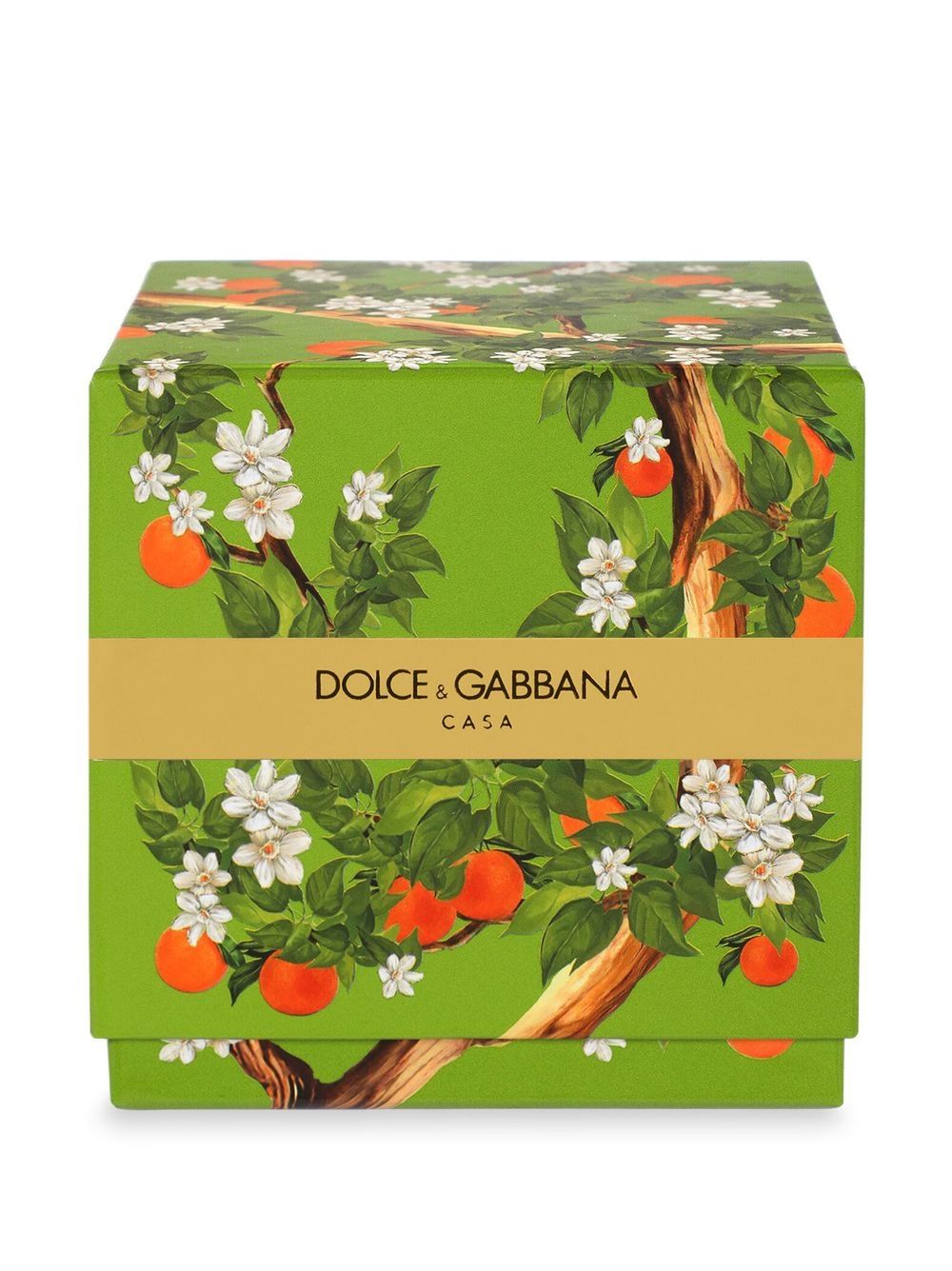 Shop Dolce & Gabbana Floral-print Scented Candle (250g) In Grün
