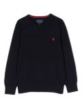 POLO RALPH LAUREN KIDS Polo Ralph Lauren Kids Maglione - Blue