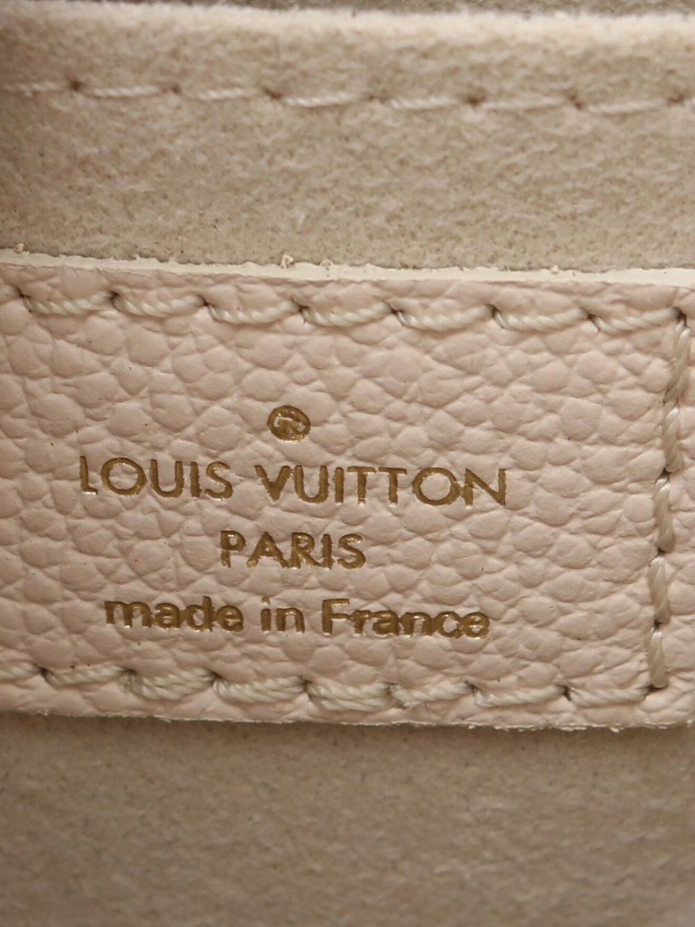 Louis Vuitton 2021 pre-owned Monogram Giant Petite Sac Plat