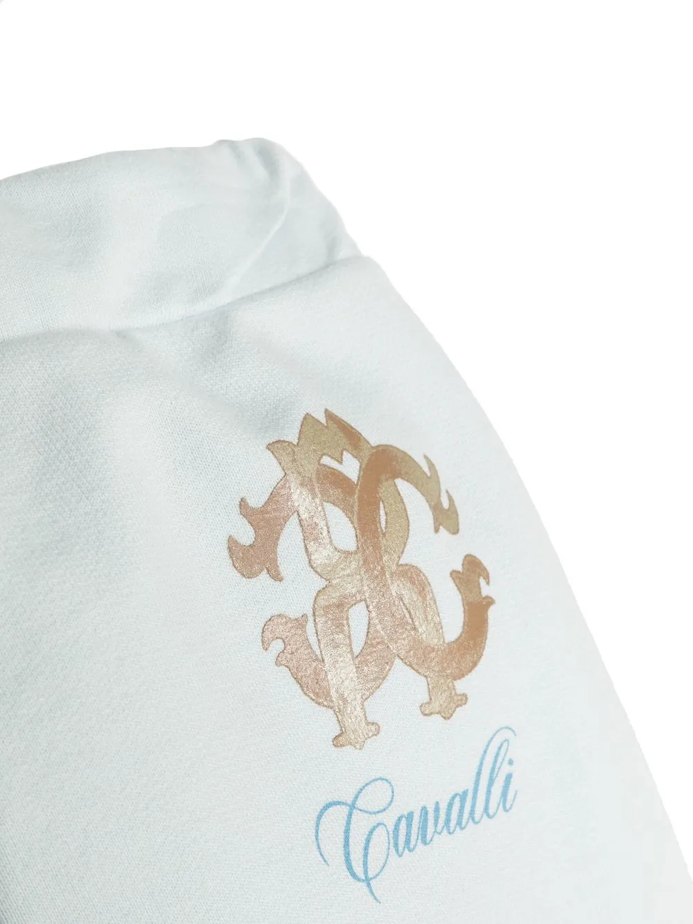 Roberto Cavalli Monogram-print Track Pants In Blue