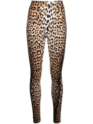 Dolce & Gabbana leopard-print Jersey Leggings - Farfetch