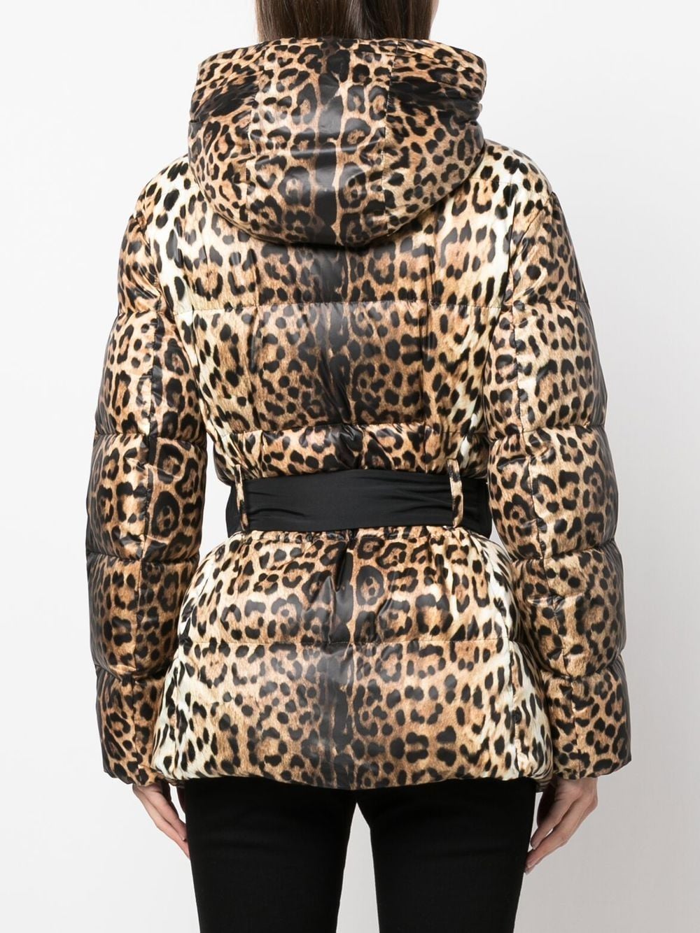Shop Roberto Cavalli Leopard-print Padded Jacket In Neutrals