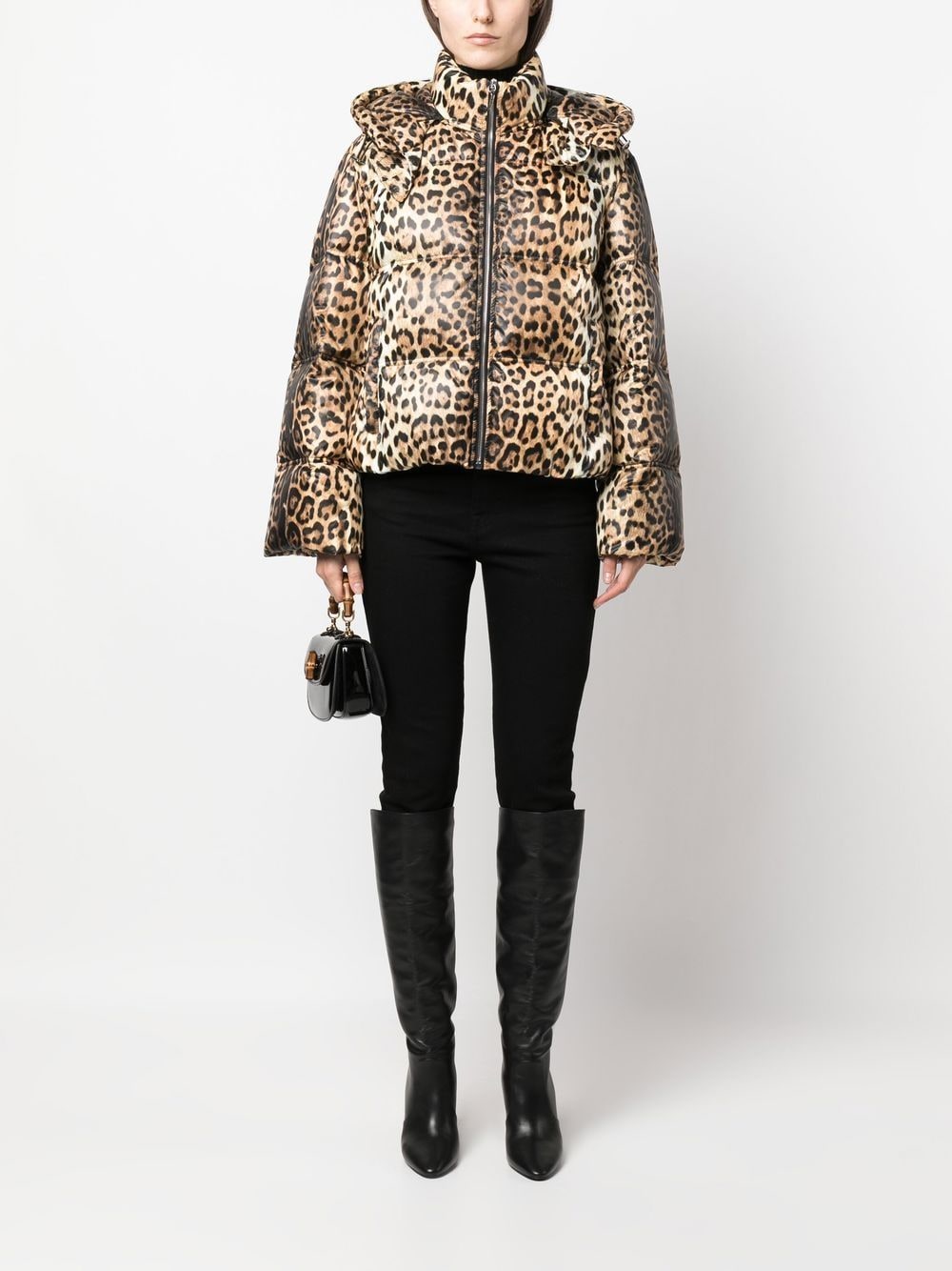 Shop Roberto Cavalli Leopard-print Padded Jacket In Neutrals