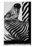 Dolce & Gabbana zebra-print beach towel - Grey