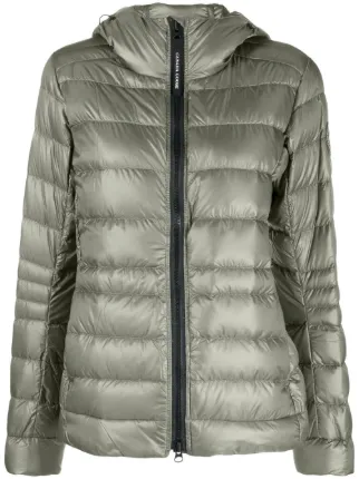 Canada Goose