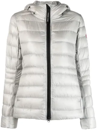 Canada Goose