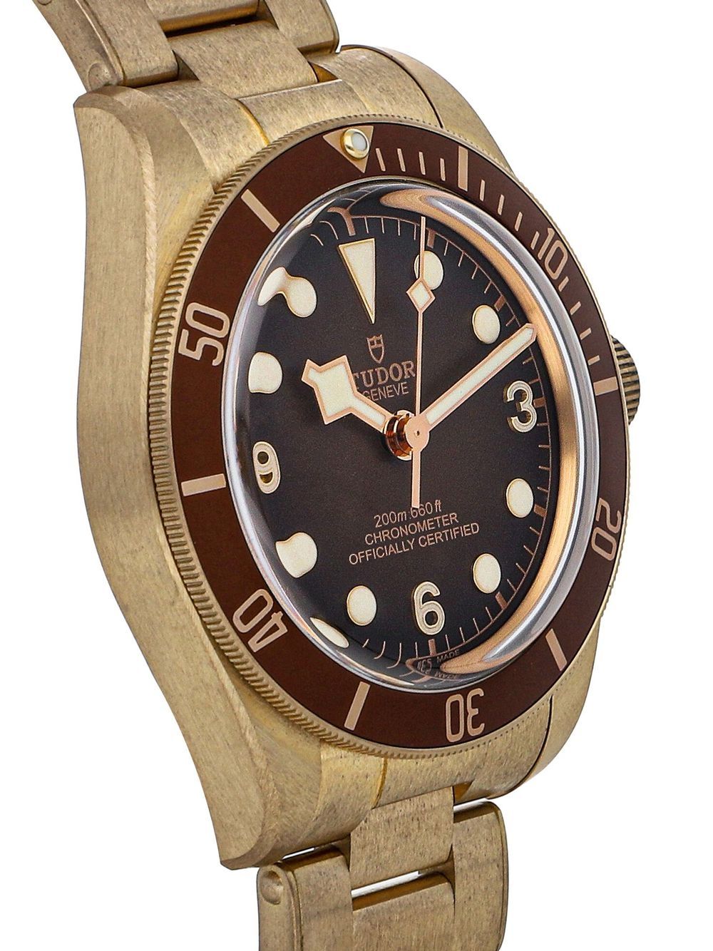 TUDOR 2021 pre-owned Black Bay horloge - Bruin